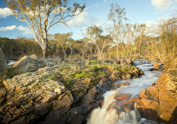 Country River Stock photo © THP