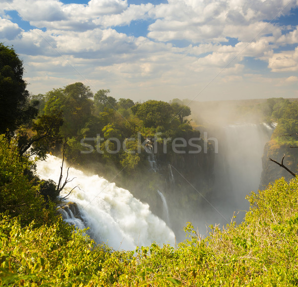 Szürkehályog Afrika Zambia Zimbabwe egy hét Stock fotó © THP