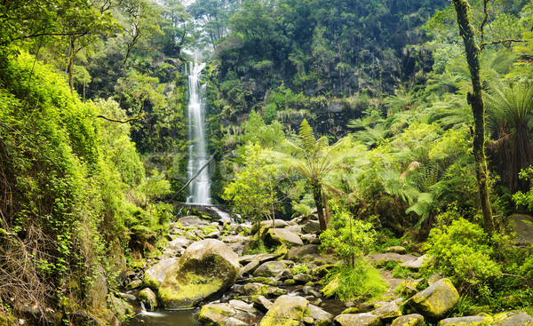 Erskine Falls Waterfall Stock photo © THP