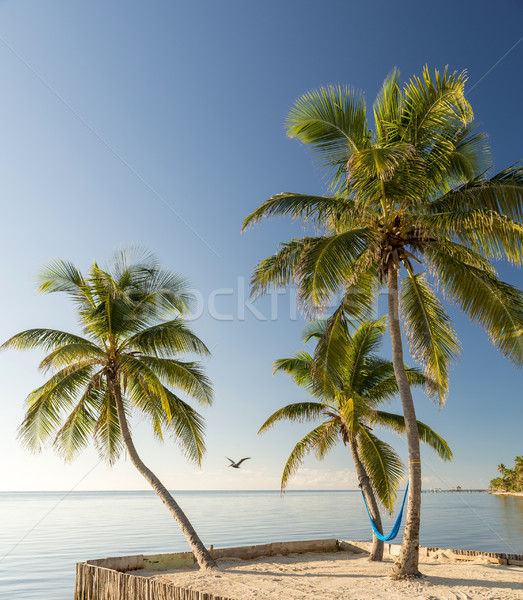 Tropical Island Beach With Hammock Stock photo © THP