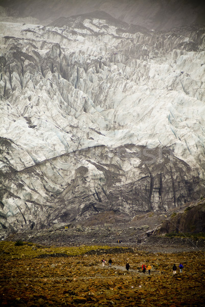 Franz Joseph Glacier Stock photo © THP