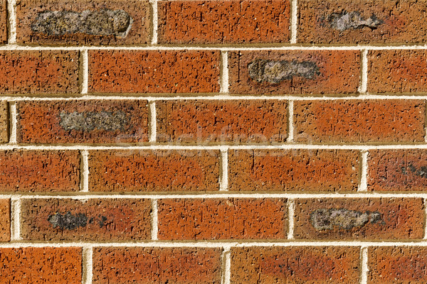 Red Brick Wall Stock photo © THP