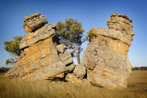 Crescut separat doua roci cer câmp Imagine de stoc © THP