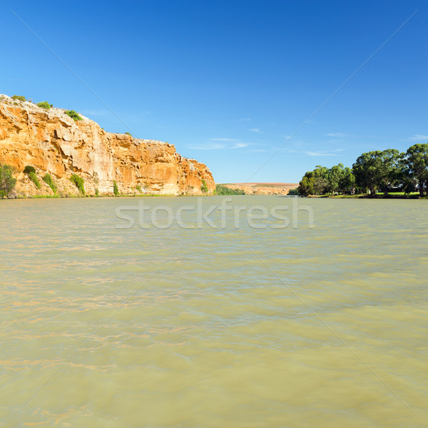 Murray River Stock photo © THP