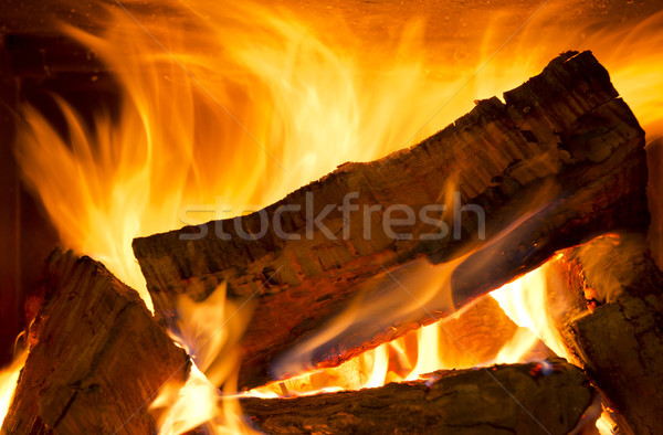 Drewna ognia palenie jasne charakter tle Zdjęcia stock © THP