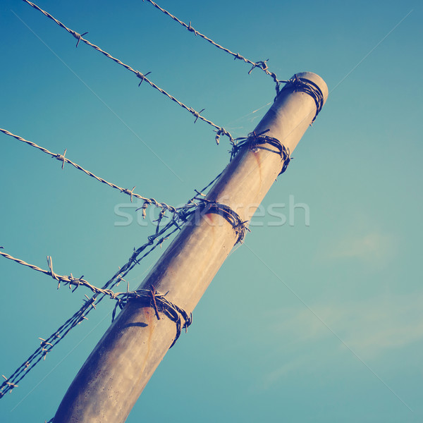 Barbed Fence Stock photo © THP