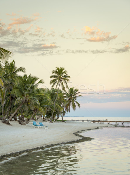 Belize zonsopgang strand zonsondergang natuur achtergrond Stockfoto © THP