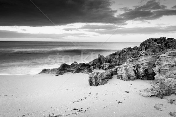 Stormy Beach Black and White Stock photo © THP