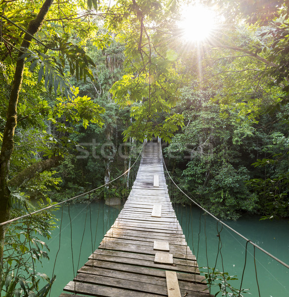 Forestales puente peatonal puente río Belice Foto stock © THP