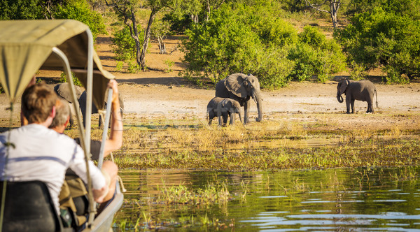 Tourists On Elephant Safari Africa Stock photo © THP