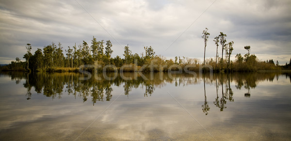 Perfect Lake Stock photo © THP