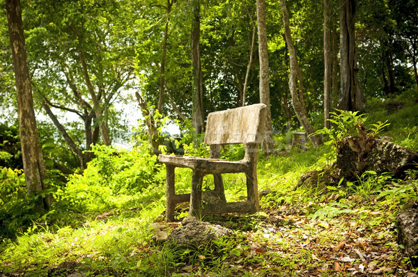Floresta assento vazio fantasia madeira jardim Foto stock © THP