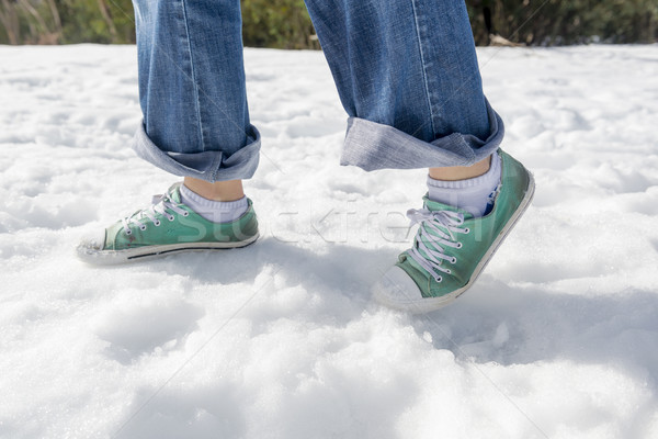 Snow Shoes Stock photo © THP