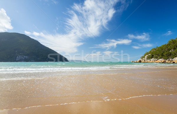 Beach At Sealers Cove Stock photo © THP