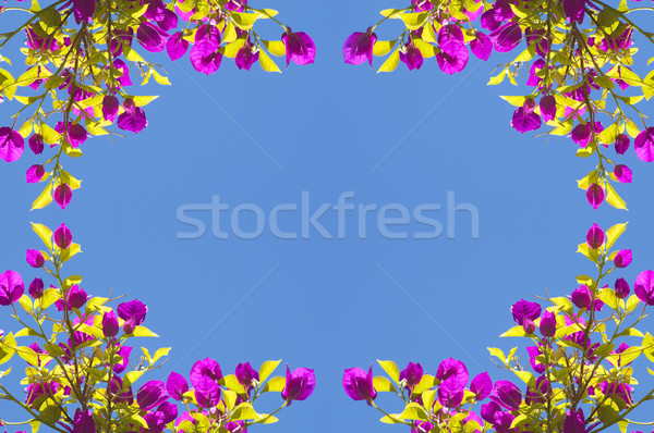 Spring Flower Frame Stock photo © THP
