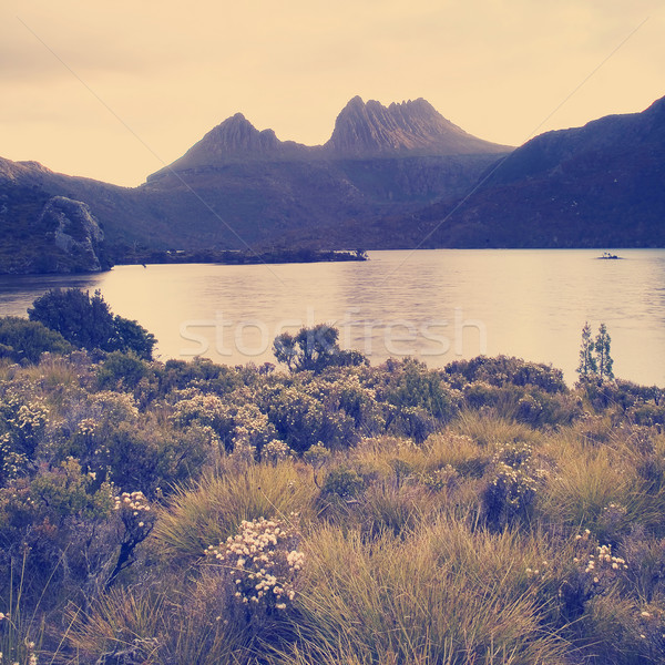 Berceau montagne tasmanie image majestueux Photo stock © THP