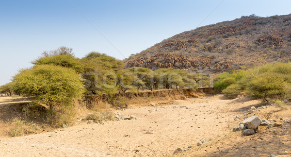 Foto d'archivio: Botswana · panorama · asciugare · caldo · remote · rurale