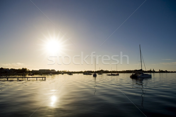 Yachts at Dawn Stock photo © THP