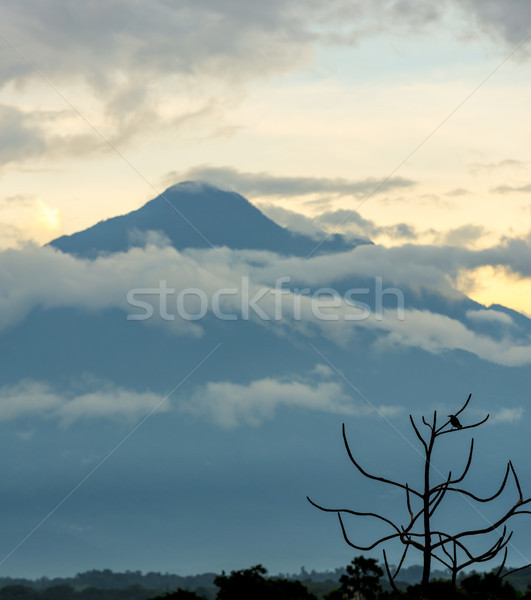 Tajumulco Volcano Guatemala Stock photo © THP