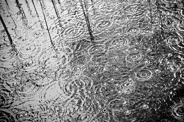 Rain on Pond Stock photo © THP