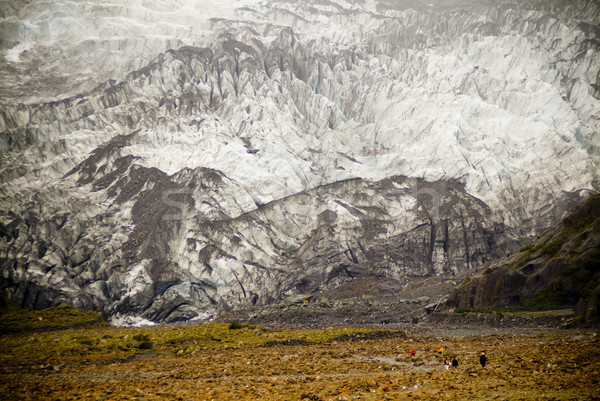Franz Joseph Glacier Stock photo © THP