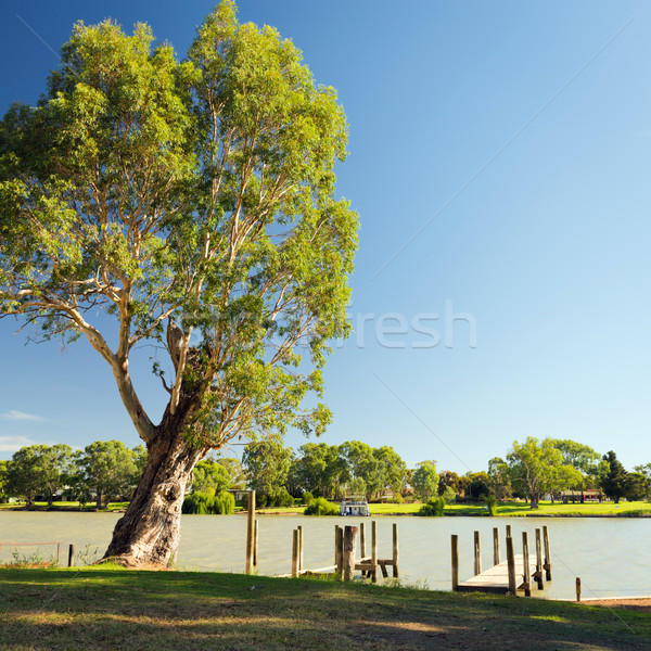 Rivier houten landschap zomer reizen Stockfoto © THP