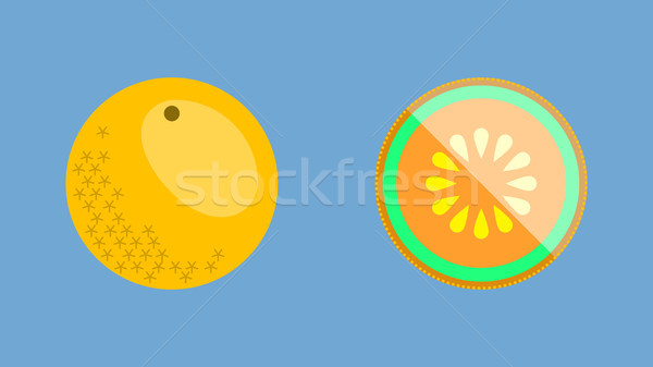 Cantaloupe Melon Banner Vector Stock photo © THP