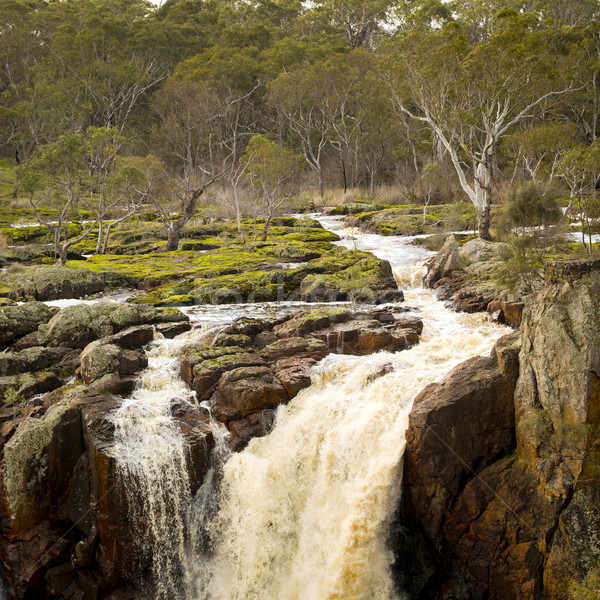 Country Waterfall Stock photo © THP