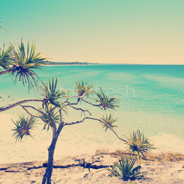 Spiaggia caldo giorno isola queensland Foto d'archivio © THP