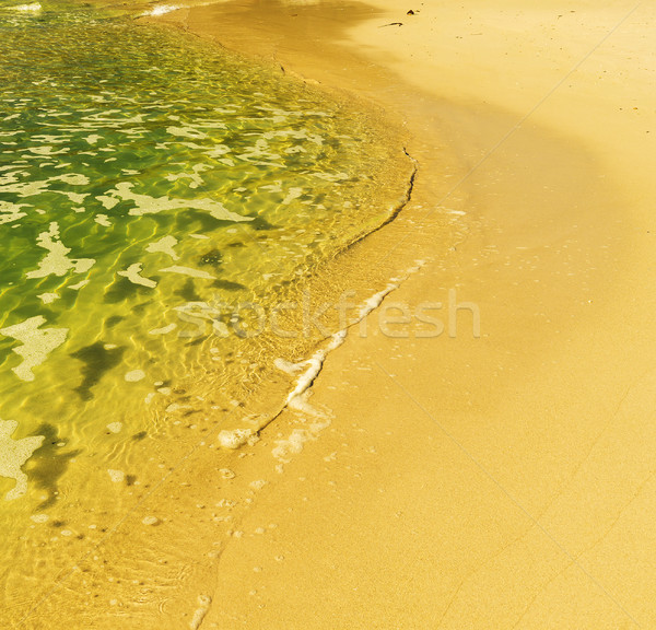 South African Shoreline Stock photo © THP