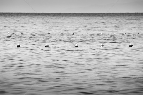 Ocean Buoys Stock photo © THP