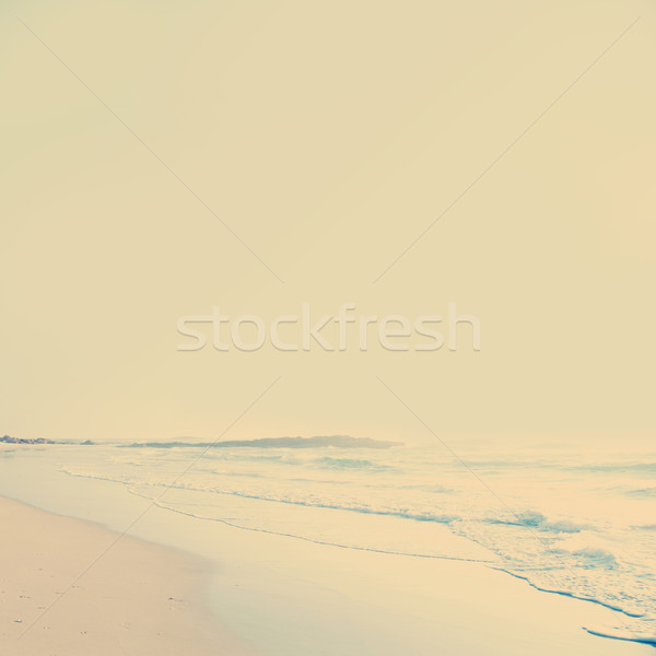 Vintage Beach Stock photo © THP