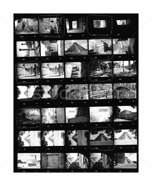 Contact Sheet Stock photo © THP
