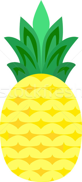Pineapple Fruit Vector Isolated Stock photo © THP