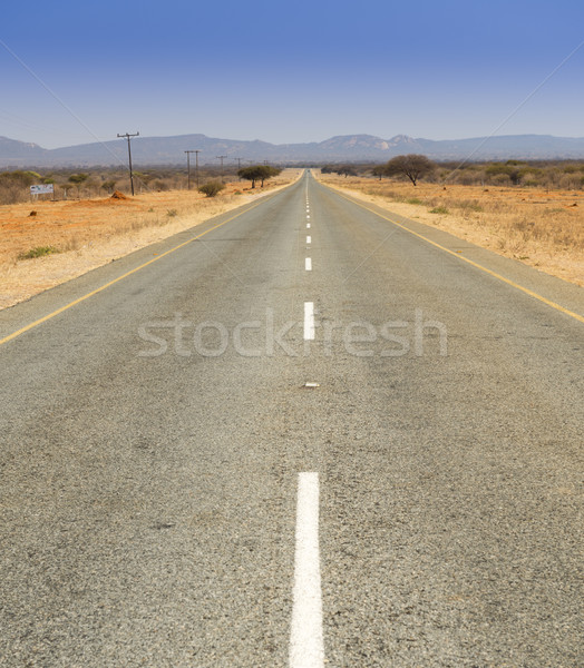 Africa Road Stock photo © THP
