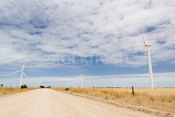 Szélfarm szélturbinák vidéki Ausztrália fű nap Stock fotó © THP
