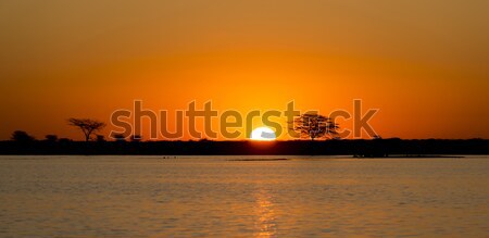 Botswana zonsondergang klassiek afrikaanse reusachtig brandend Stockfoto © THP