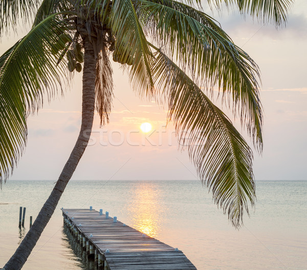 Tropical Sunrise Jetty Stock photo © THP