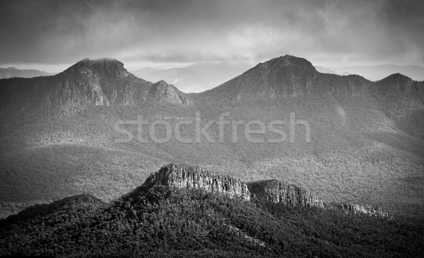 The Grampians Victoria Black and White Stock photo © THP