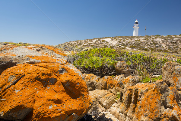 Lighthouse and Rocks Stock photo © THP