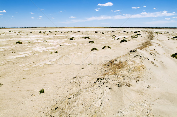 Cambio climático calor suelo agrietado creciente Foto stock © THP