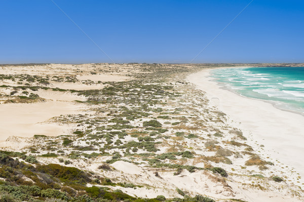 Coastal Sand Dunes Stock photo © THP