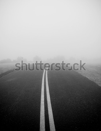 Foggy Road Stock photo © THP