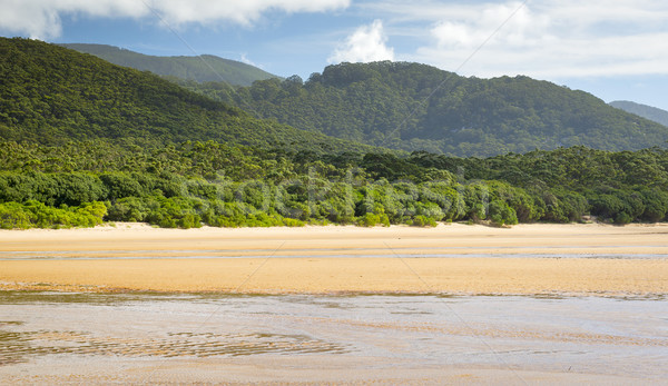 River At Sealers Cove Stock photo © THP