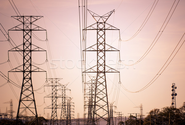 Power Lines Stock photo © THP