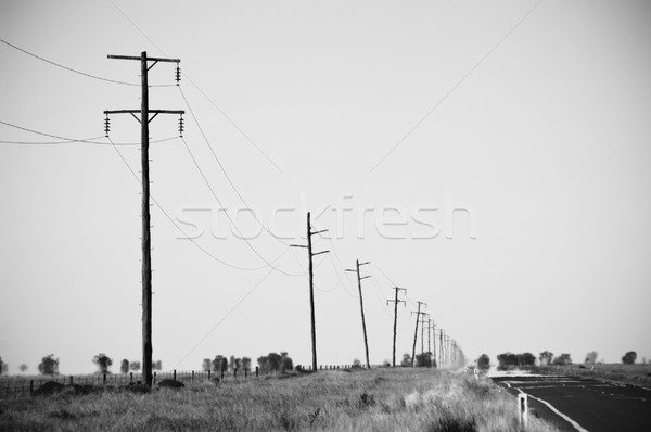 Wärme Dunst Unschärfe Landschaft Sommer schwarz und weiß Stock foto © THP