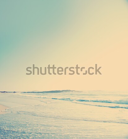 Vintage Beach Stock photo © THP