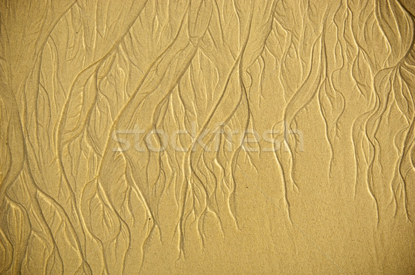 Areia padrões forma sol fundo deserto Foto stock © THP