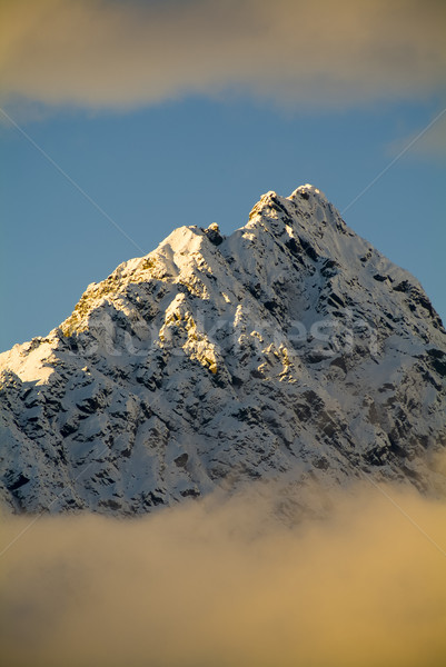 гор юг острове Новая Зеландия наконечник горные Сток-фото © THP