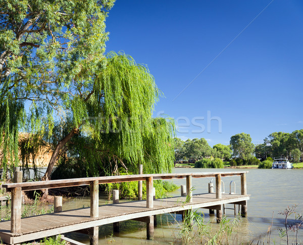 Rivier houten landschap zomer reizen Stockfoto © THP